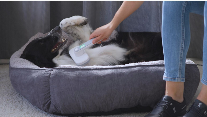 Brosse pour animaux PiddiPet IonBrush à ions - Autonettoyante - Pour chiens et chats - Noire - 18,5 x 12 x 7 cm
