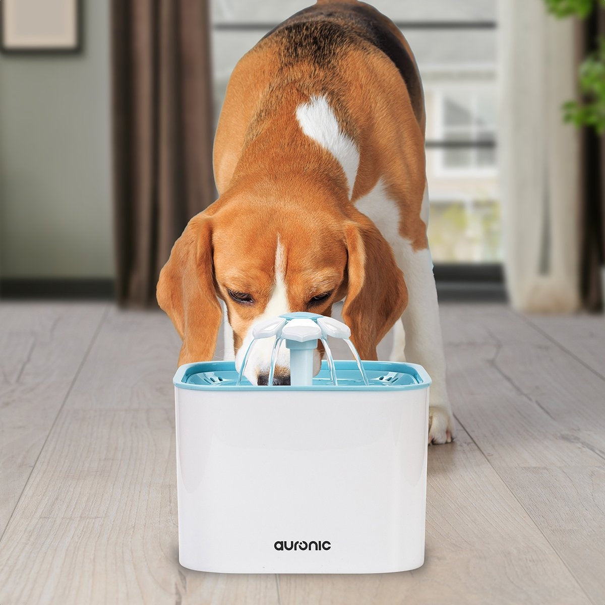 Auronic Drinking Fountain - Fontaine à eau pour chats et chiens - 2L - Abreuvoir pour animaux - 4 filtres inclus - Noir