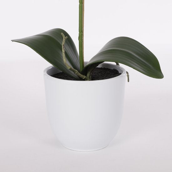 Mica Decorations - Plante artificielle Phalaenopsis dans un pot Tusca - H60 x Ø16 cm - Violet