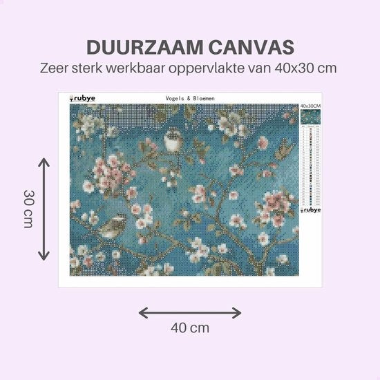 Rubye® Peinture au diamant adultes - Peinture au diamant enfants - Peinture au diamant paquet complet - Oiseaux et fleurs - 40x30cm