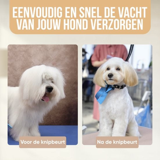 Tondeuse pour chien - Strex - Tondeuse pour animaux - Extra silencieuse - Sans fil - 5 modes