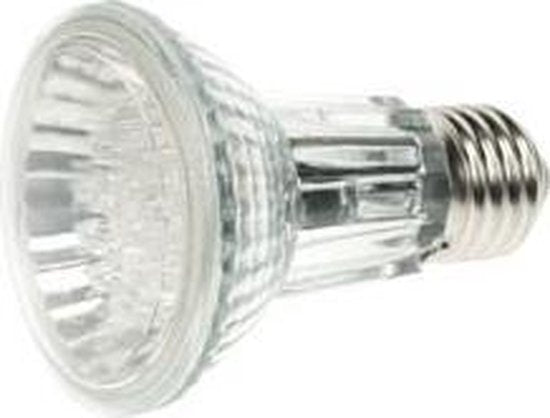 Lampe à Led Par20 - 24 Leds - Blanc froid - 6400K