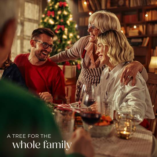 Tectake Sapin de Noël Comète 180 cm - Vert