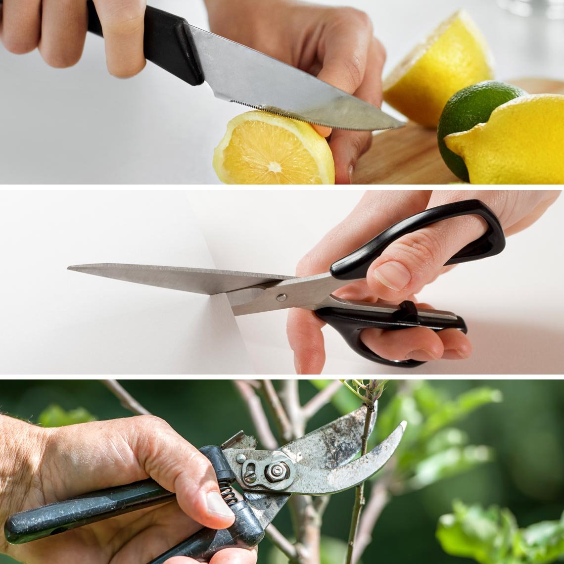 Aiguiseur de couteaux Livington BladeStar 3-en-1 - Angle d'affûtage réglable - Système en trois phases - Pour couteaux et ciseaux