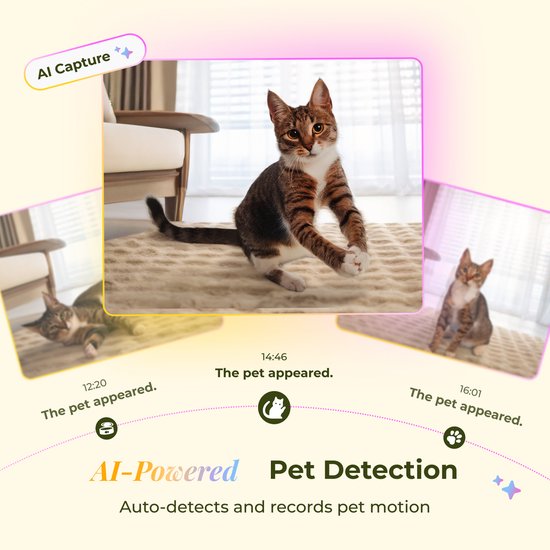 Arenti Petfeeder2 : distributeur automatique de nourriture 4 L avec caméra orientable - fontaine 3 L - pour chats et chiens – distributeur intelligent avec caméra – 3 MP (2K) et vision nocturne – Audio bidirectionnel – Distributeur automatique de nourritu