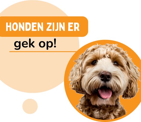 By Cee Cee Coussin orthopédique pour chien - Panier orthopédique pour chien - Royal Collection Dog Bed - Ribbed Fabric - Grey - 100x70 - Bubble Foam