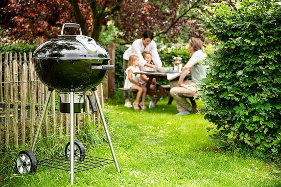 Barbecue au charbon de bois Napoleon NK22K-LEG-2