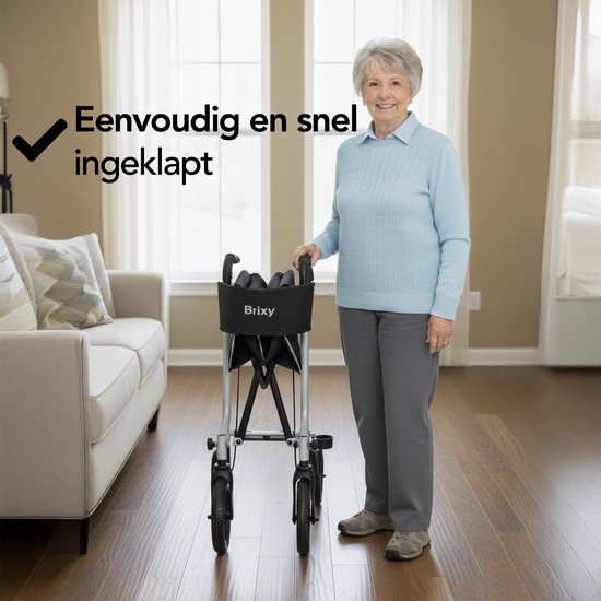 Rollator Brixy - Léger et pliable - Fonction siège - Dossier, sac et support de canne - Gris