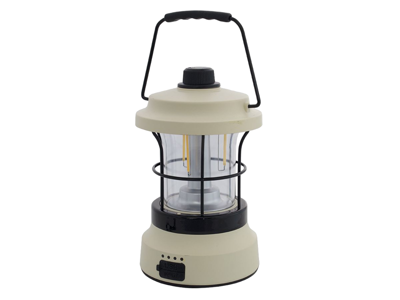 Guirlande lumineuse festive ProGarden 7,5 m, 50 micro-LED, éclairage d'extérieur EDCB60022