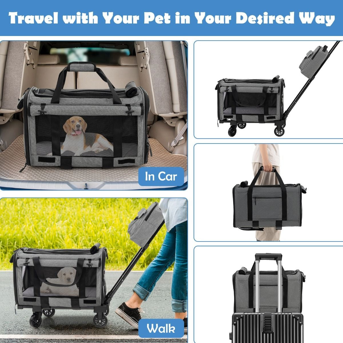 Boîte de transport Coast - chat - chien - portable - avec roues - pliable - poignée télescopique - animaux de petite et moyenne taille - gris
