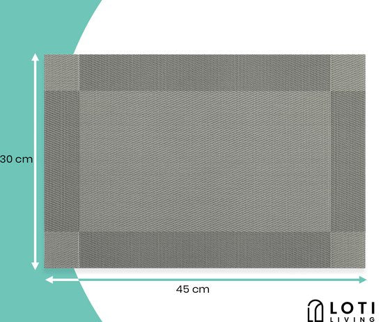 Loti Living Sets de table 4 pièces - Sets de table en plastique - Sets de table en plastique - Sous-verre -30x45cm - Gris métallisé