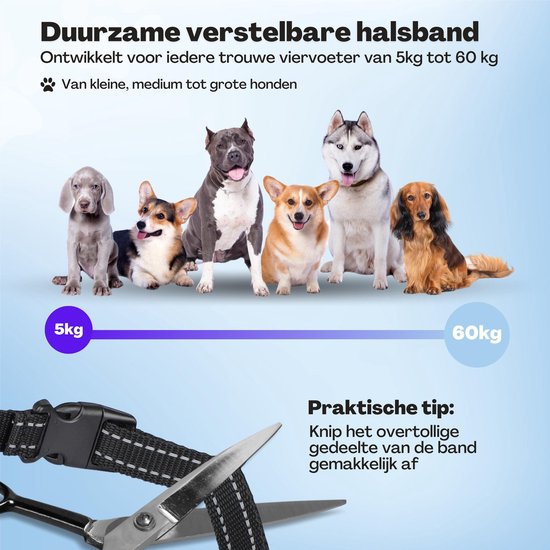 Collier Anti-aboiement Pro - Collier d'éducation sans choc - pour petits et grands chiens - étanche - rechargeable - vibration et audio - 2 colliers supplémentaires
