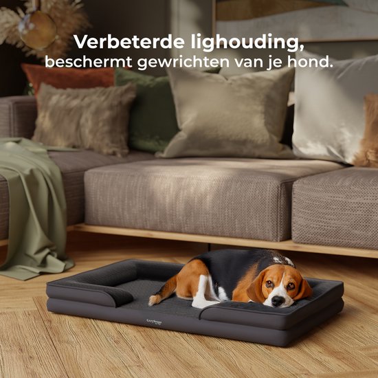 Panier orthopédique pour chien CozySense® - 60 x 42 cm - Taille S - Lit imperméable pour chien avec housse lavable - Convient comme coussin de banc - Noir