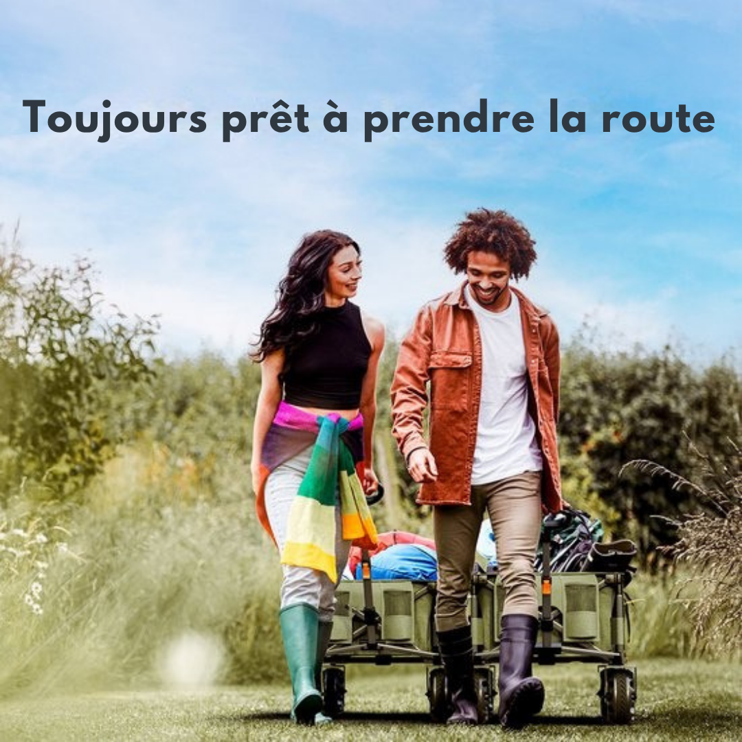 LifeGoods Wagon - Pliable - 100KG - 135L - Roues amovibles - Housse de protection - Vert
