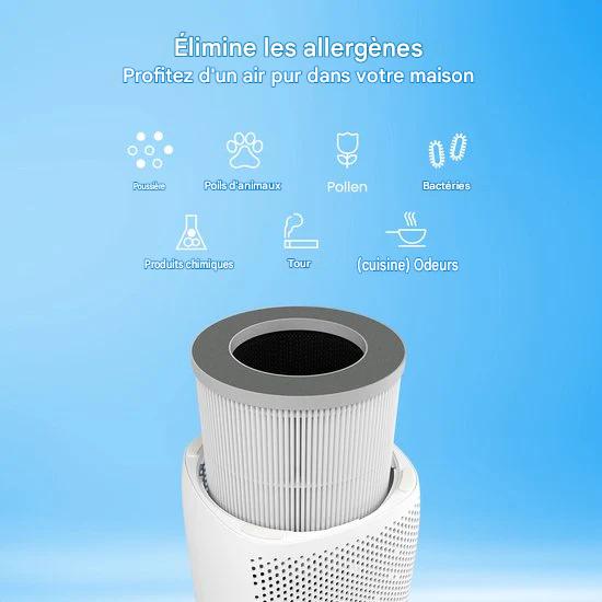 Auronic Filtre à charbon - Convient pour AU1003285 + AU1003286