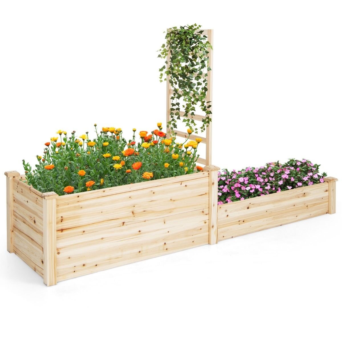 Jardinière Coast - 2 bacs et 1 support pour plantes grimpantes - Fond ouvert - 223 x 64 x 134 cm - Bois de pin