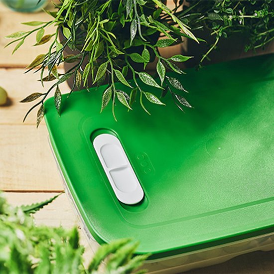 Tupperware Fridge Smart 1,8 l - Boîtes de conservation - Sans BPA - Bocal de conservation - Boîte à repas - Boîtes en plastique - Récipients alimentaires - Les aliments restent frais deux fois plus longtemps