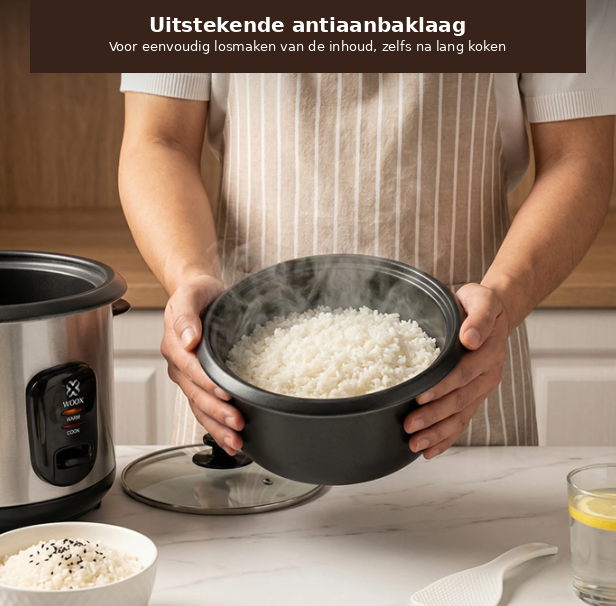Cuiseur à riz électrique Woox 1 litre - Noir et inox - Couvercle en verre