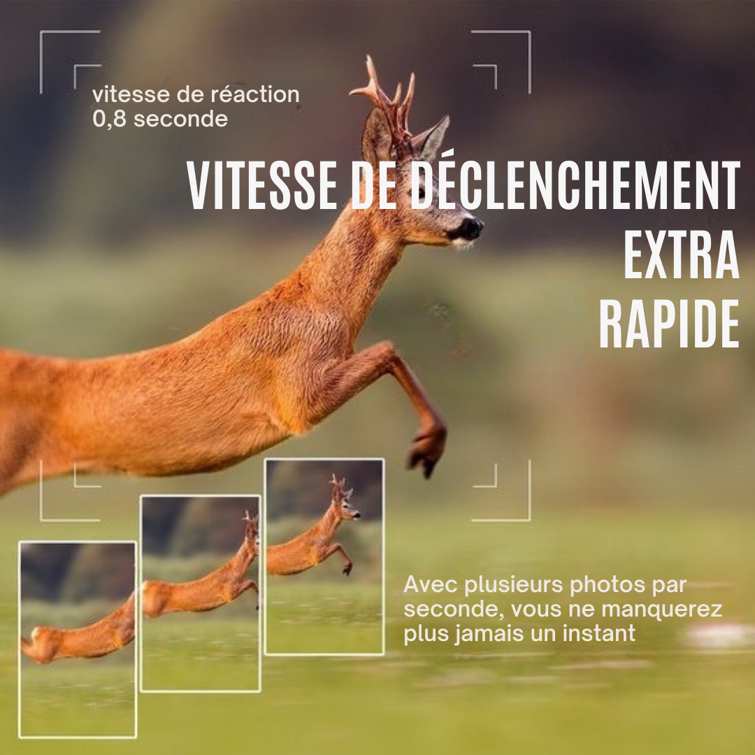 Wildlife Camera - Strex - Caméra de faune - Vision nocturne - 16MP 1080P Full HD - Waterproof - Caméra de chasse - Caméra pour animaux sauvages