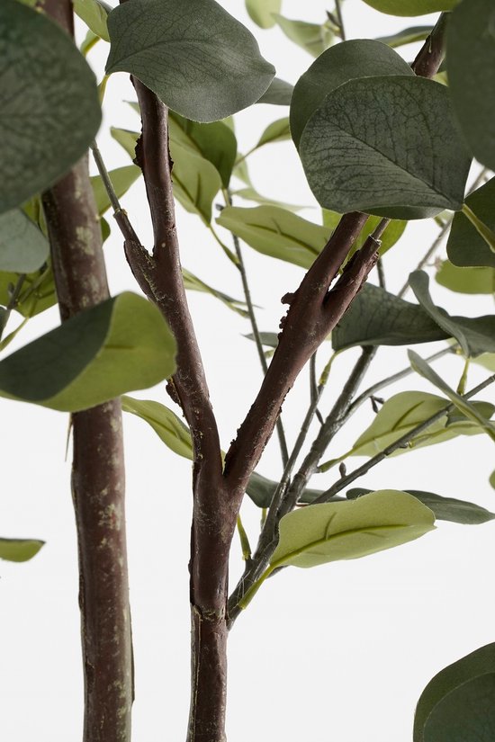 Mica Decorations Plante Artificielle Eucalyptus en Pot de Fleur - H95 x Ø55 cm - Vert