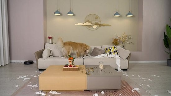 Earkings Robot aspirateur avec fonction de nettoyage - Robot aspirateur SMART avec station de charge - Convient aux animaux domestiques - Robot aspirateur noir