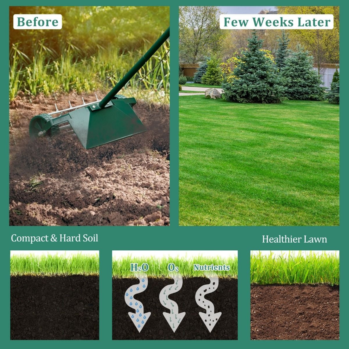 Coast Lawn Aerator Modèle à main - 46 cm - Avec manche long