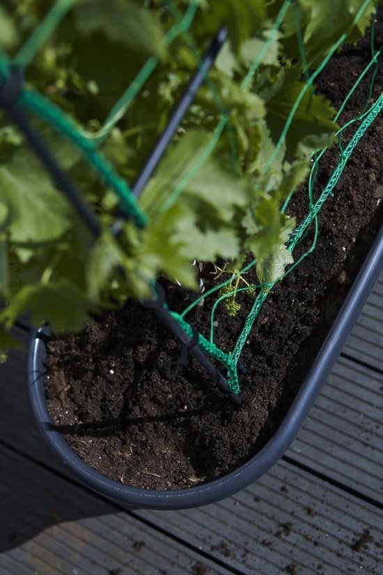 Elho Green Basics Veggie Wall 80 - Bac de culture - Jardinage vertical - Plastique 100 % recyclé - Ø 77,5 x H 26,0 cm - Living black