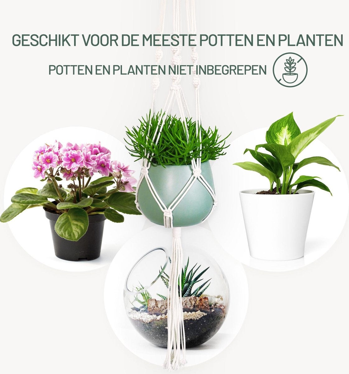 Gadgy Plant Hanger Macramé - Corde tressée de luxe en coton - 3 pièces - suspension de pot de plante - pot suspendu