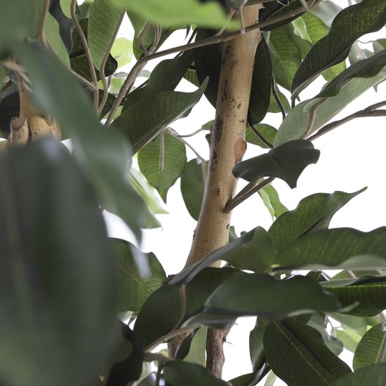 Mica Decorations Plante Artificielle Ficus - H110 x Ø65 cm - Vert