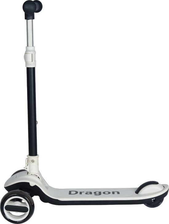 Trottinette pour enfants Eco Toys Levi noire