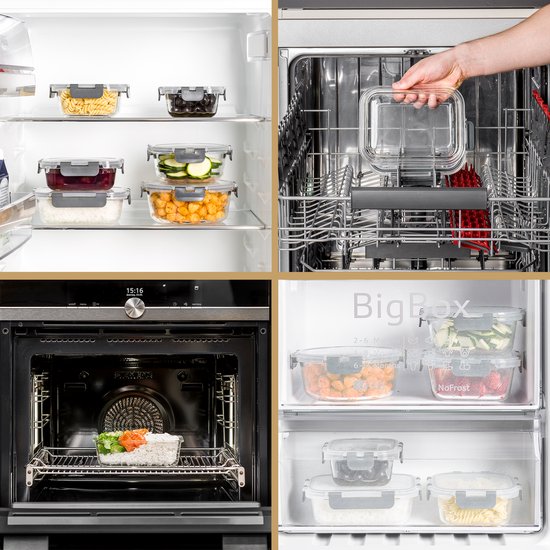 Stosh Plateaux pour préparation de repas - Plateaux pour aliments frais - Plateaux pour congélation - 10 pièces - 5x1050ML & 5x350ML - Sans BPA - Verre