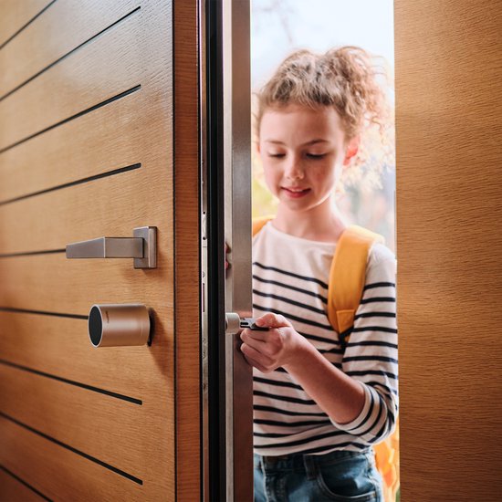 Serrure électrique Netatmo - Smart Key - 1 clé - Clé NFC - Silver