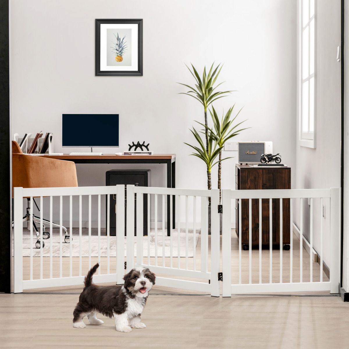 Barrière pliable pour chien Coast - 3 éléments - Bois de pin - Blanc - 61 cm de haut