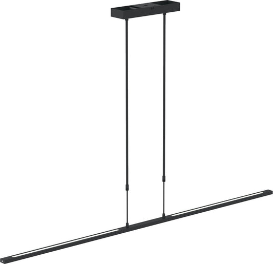 Lampe suspendue réglable Zelena - 2-lumières - Plastique/métal - 155 cm - Hauteur réglable jusqu'à 117 cm - Design moderne - Noir
