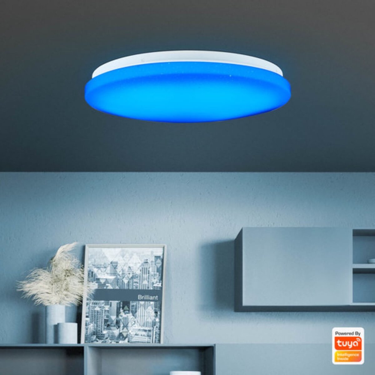 Brillant Heddy Plafonnier LED 39 cm - Blanc - 22W LED intégré - Smart Tuya App Control
