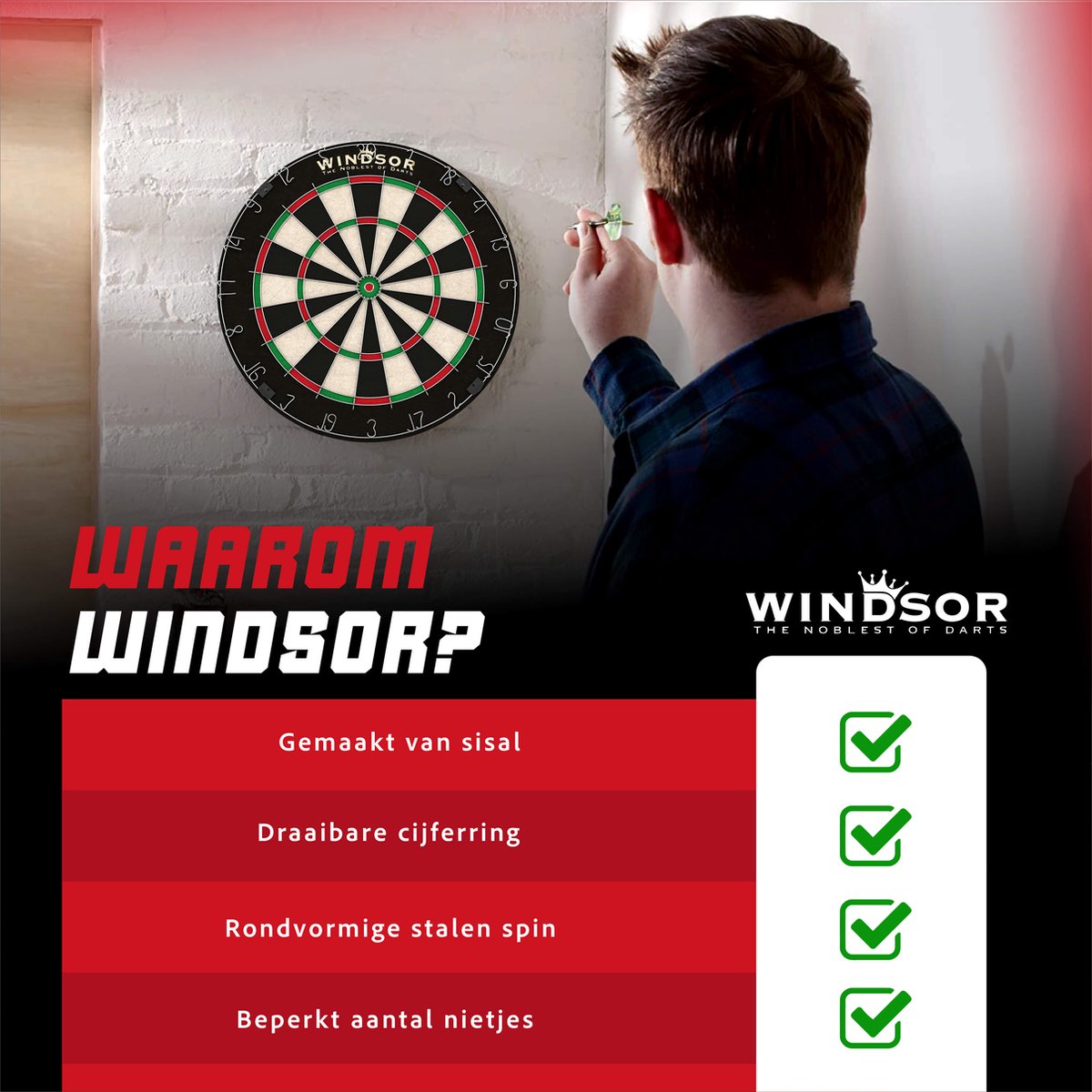 WINDSOR Dartboard - avec fléchettes et accessoires - Sisal - Dartboard - Knight 3