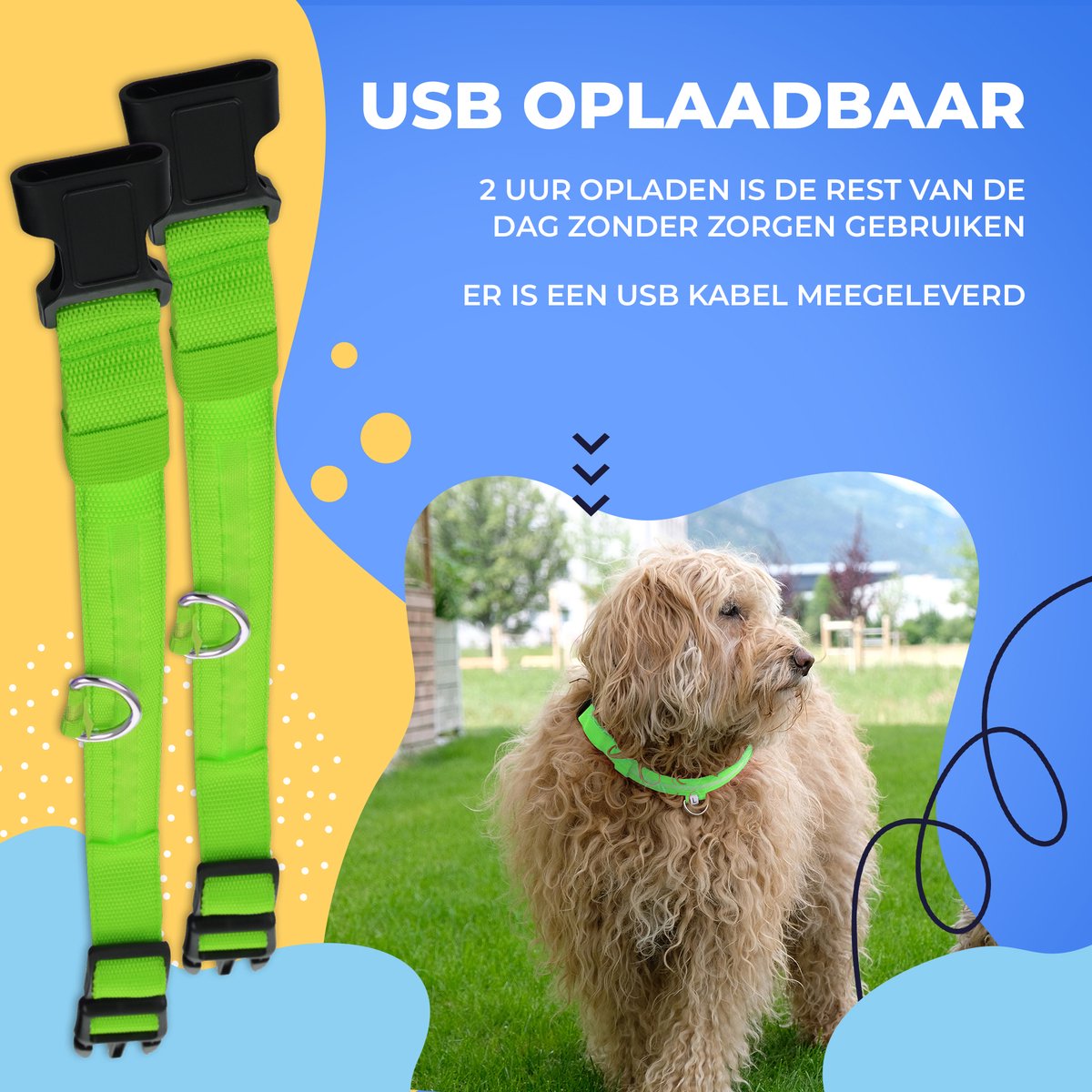 Dutchwide Collier lumineux pour chien - extra fort - collier à clic - réglable - réfléchissant - taille L - vert
