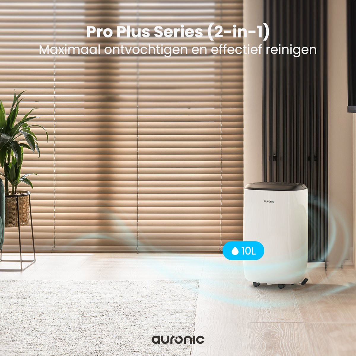 Déshumidificateur et purificateur d'air Auronic - Série Pro Plus - Chambre et salon - Déshumidifie 10L par jour dans la maison - Fonction Lavage-Séchage - Blanc