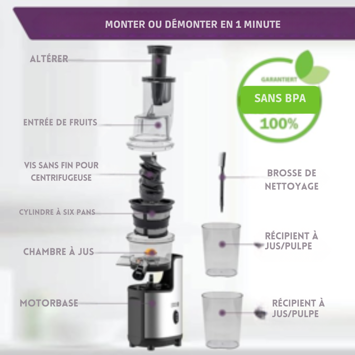 Extracteur de jus électrique Lebenlang - 220 V - Acier inoxydable - Récipient à jus et à pulpe inclus - 21 x 45 cm - Argent