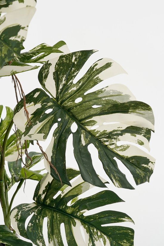 Mica Decorations Arbre Monstera Plante Artificielle - H140 x Ø120 cm - Vert