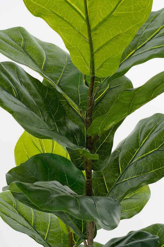 Mica Decorations Plante Artificielle Ficus Lyrata en Pot - H150 x Ø50 cm - Vert