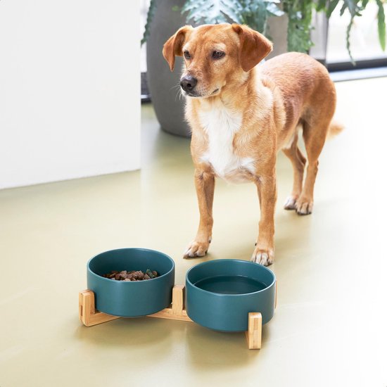 Gamelle pour chien - Bol à boire - Avec support en bambou - 2x 800 ml - Taille M - Vert Mat