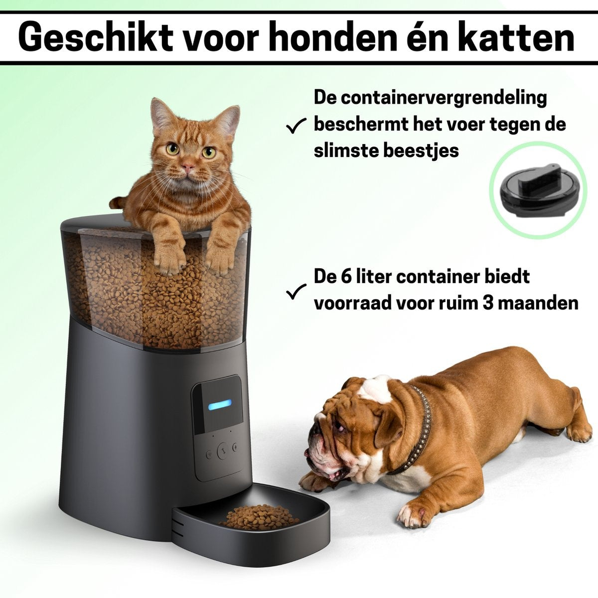 BOME Feeder - App et Audio - Mangeoire automatique pour chat ou chien - Mangeoire pour chat - Noir