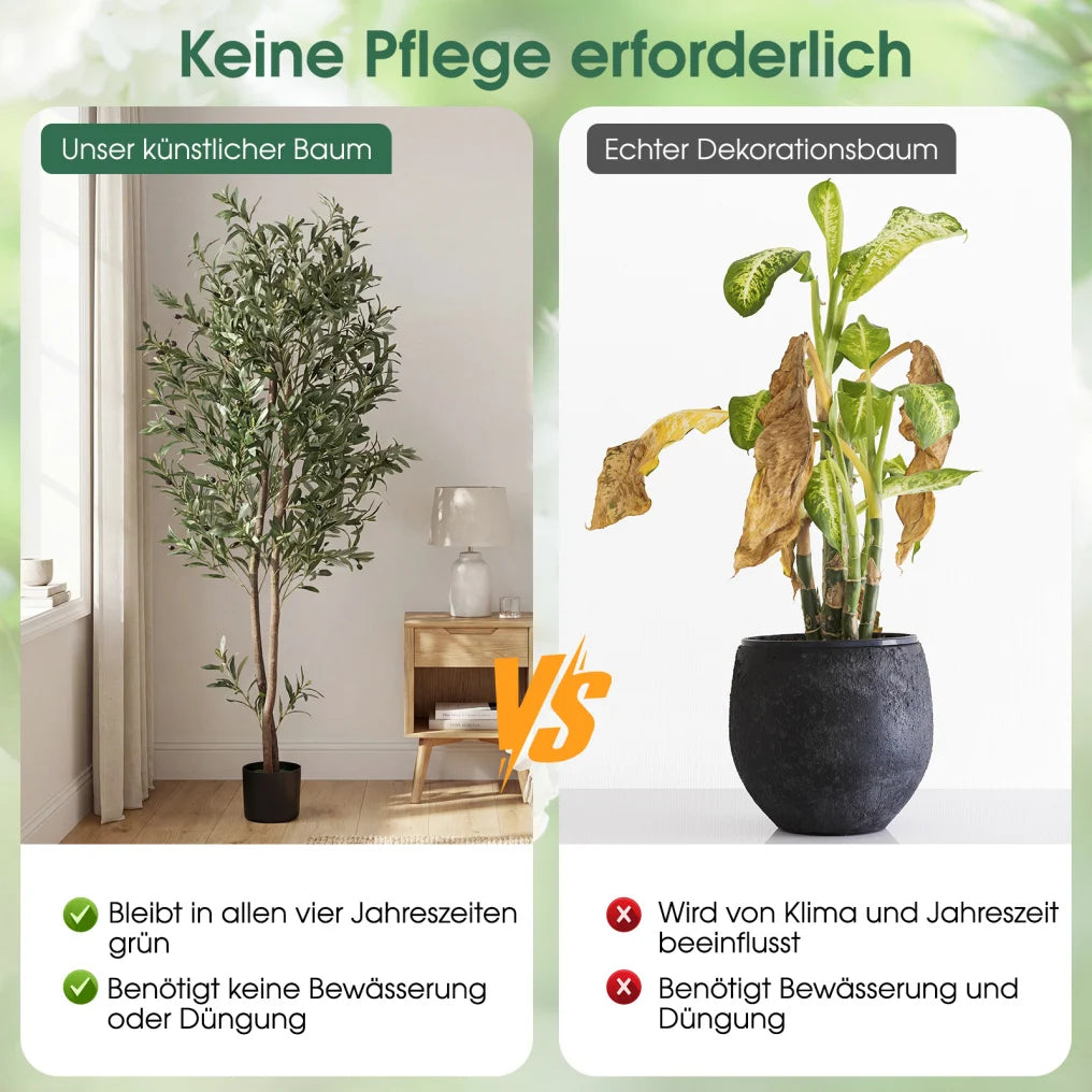Coast – Lot de deux oliviers artificiels – Avec pot renforcé de ciment, branches flexibles et olives réalistes – Pour le salon et le bureau – Polyester vert et noir – Hauteur : 180 cm