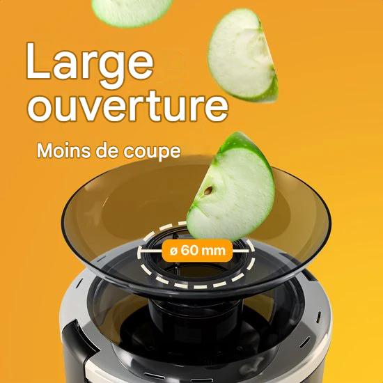 KitchenBrothers Extracteur de jus - Pour légumes et fruits - Extracteur de jus - Avec récipient à pulpe - 500ml - 600W - Noir