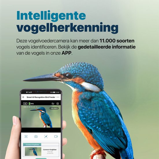 BOME - Mangeoire à oiseaux - Caméra et audio - Reconnaissance des oiseaux - Bois - Double panneau solaire - Suspension