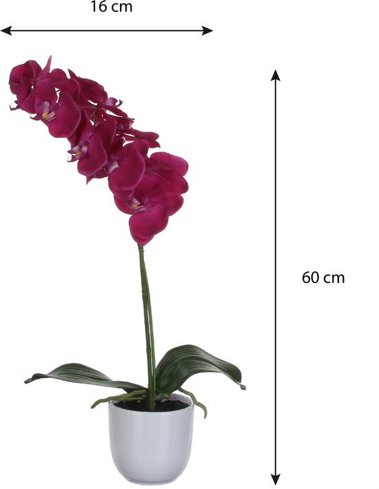 Mica Decorations - Plante artificielle Phalaenopsis dans un pot Tusca - H60 x Ø16 cm - Violet