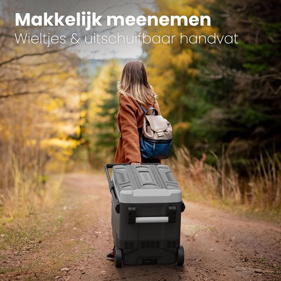 Auronic Electric Cool Box - avec compresseur - congélation et réfrigération - capacité 58L - gris - 69,2 x 45,3 x 58 cm