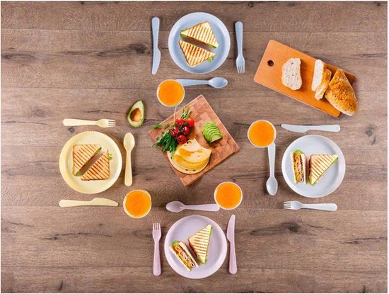 Service de pique-nique Alpina 21 pièces – Service de table pour 4 personnes comprenant des assiettes, des gobelets et des couverts – Service en plastique dans une boîte de rangement – Service de camping et service de table d'extérieur