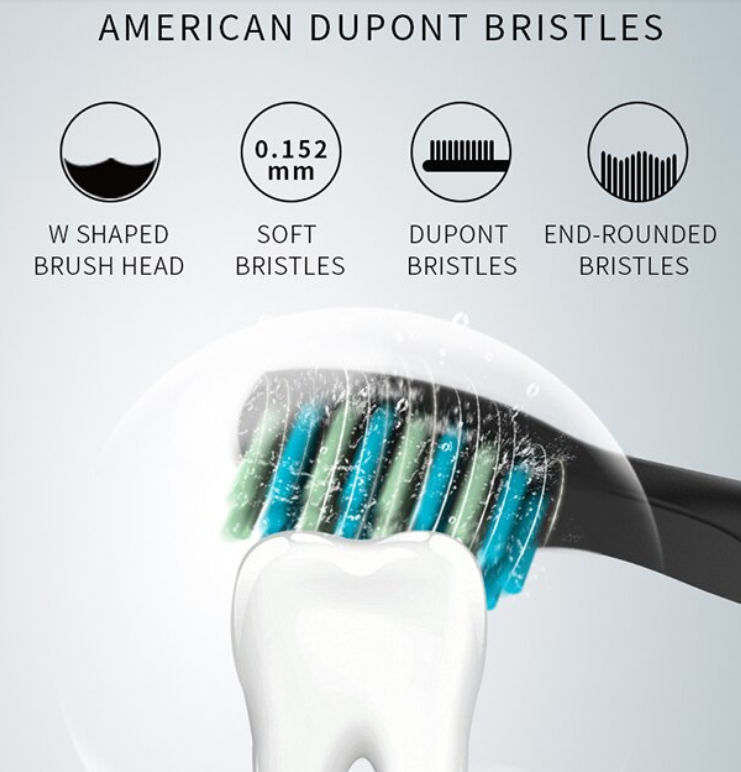Brosse à dents électrique Seago SG958 - Noire - 22,2 x 2,55 x 2,55 cm - Rechargeable par USB, 5 modes